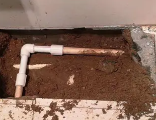 巴彦淖尔市测漏水哪家好