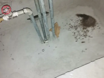 巴彦淖尔市卫生间测漏水价格明细