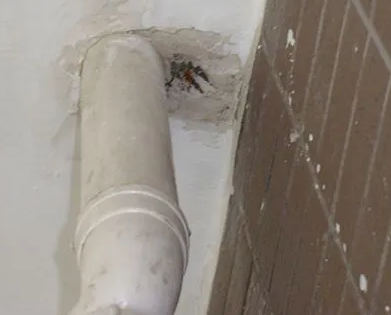 巴彦淖尔市漏水检测哪家好